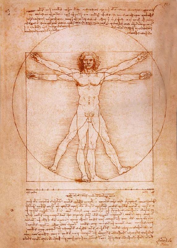 LEONARDO da Vinci Rule fur the proportion of the human figure
